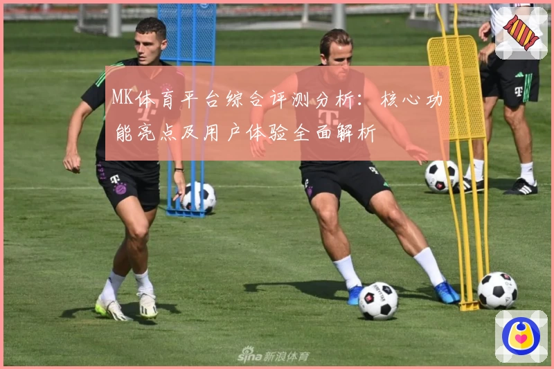 MK体育平台综合评测分析：核心功能亮点及用户体验全面解析